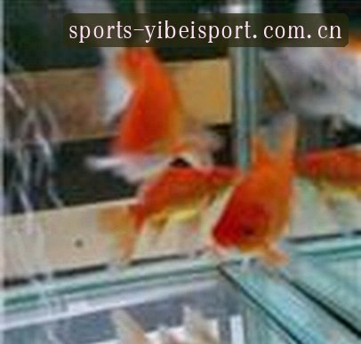 王浩